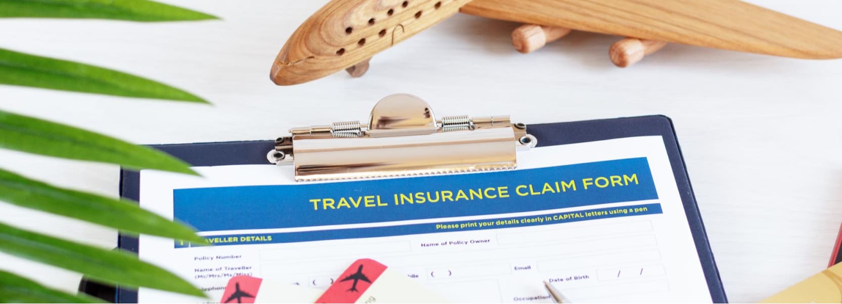 Travel Insurance Guide