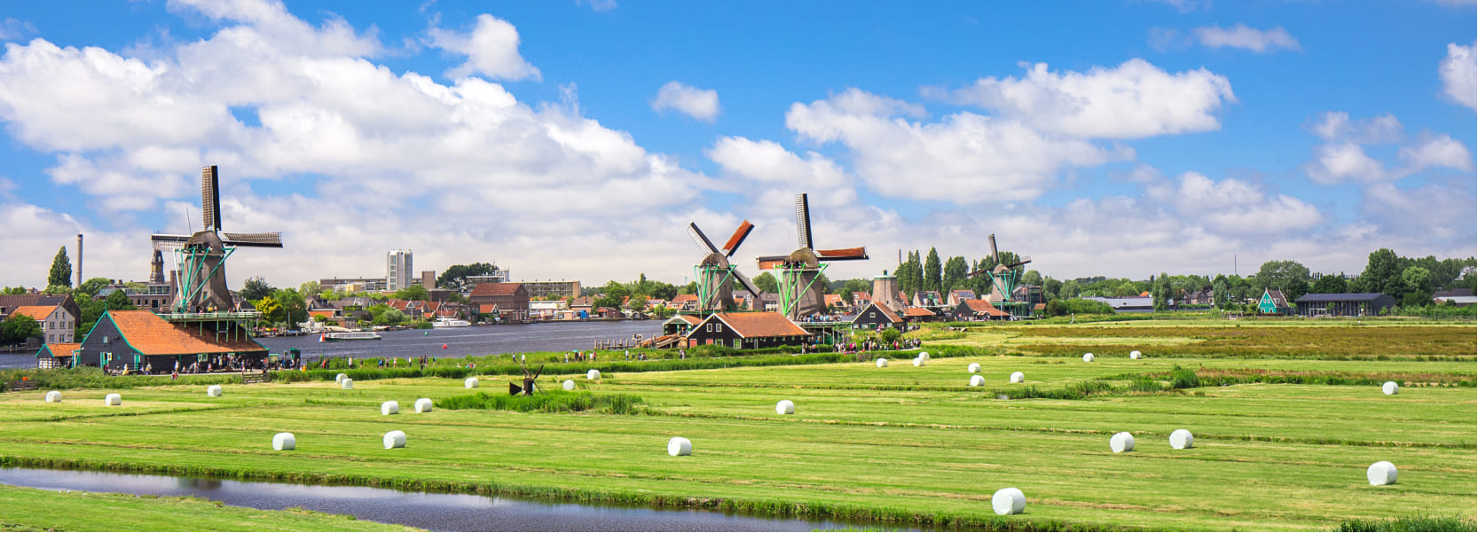 Netherlands Business Visa Online The A To Z Of The Application Process Visa2fly