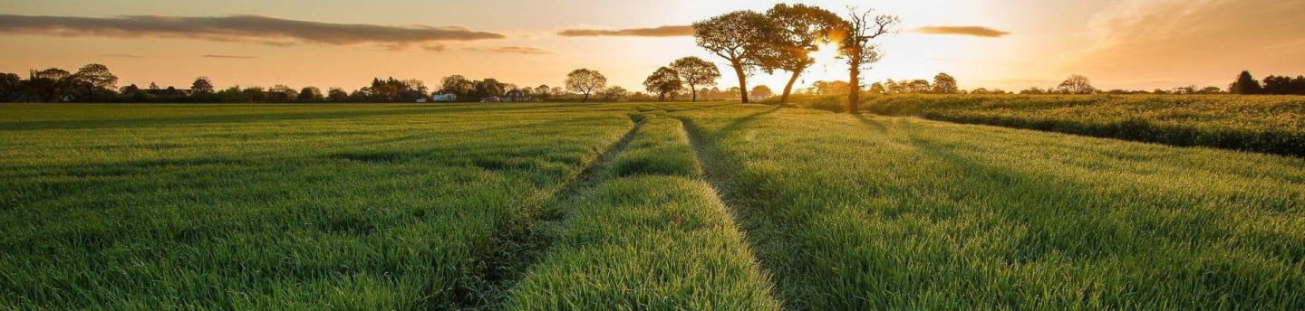 Bangladesh
