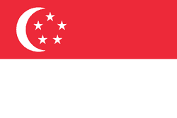 singapore visa online